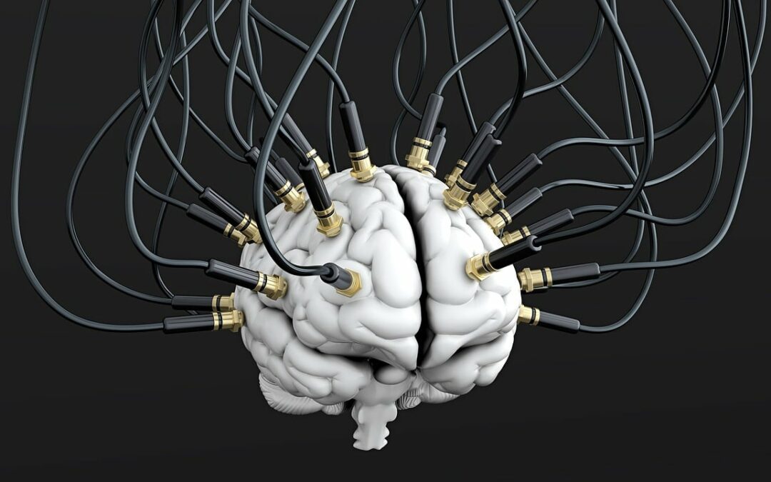 Cosa succede nel cervello di chi gioca d’azzardo in modo patologico?